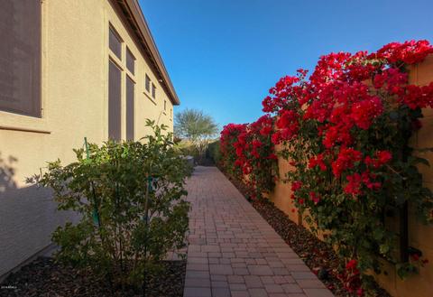 2333 N Steele Cir, Mesa, AZ 85207 photo 63