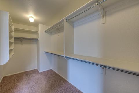 3602 E Potter Dr, Phoenix, AZ 85050 photo 12