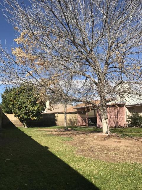 1003 E Inca St, Mesa, AZ 85203 photo 38