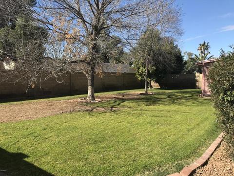1003 E Inca St, Mesa, AZ 85203 photo 35