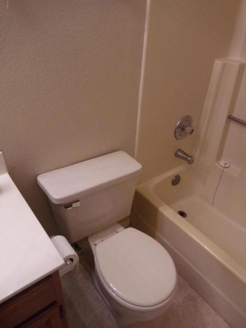 1505 E Taro Ln, Phoenix, AZ 85024 photo 47