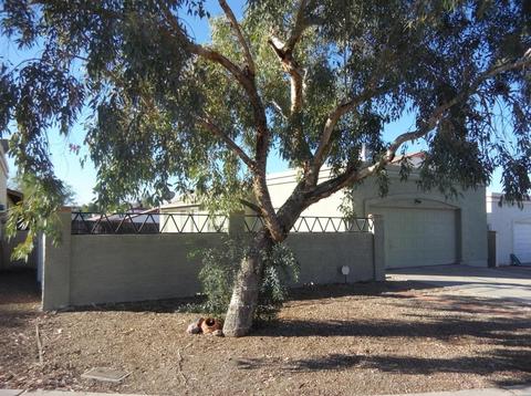 1505 E Taro Ln, Phoenix, AZ 85024 photo 1
