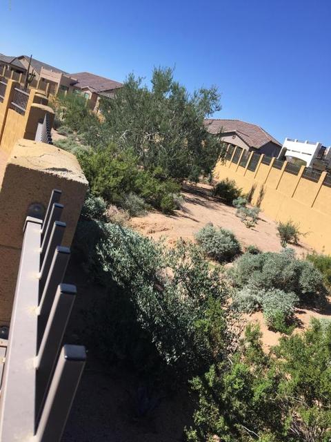 8944 E June St, Mesa, AZ 85207 photo 34