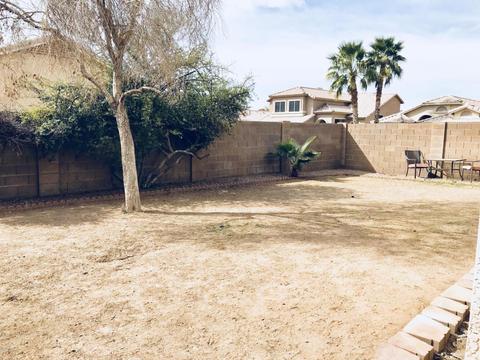 2209 E Kelton Ln, Phoenix, AZ 85022 photo 23