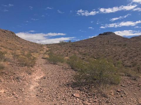1014 E Forest Hills Dr, Phoenix, AZ 85022 photo 66