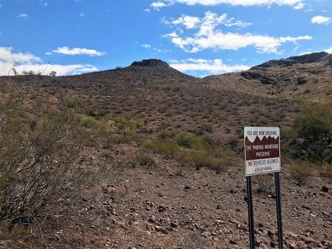 1014 E Forest Hills Dr, Phoenix, AZ 85022 photo 65