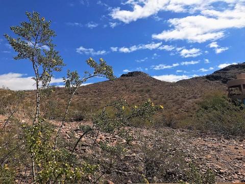 1014 E Forest Hills Dr, Phoenix, AZ 85022 photo 67
