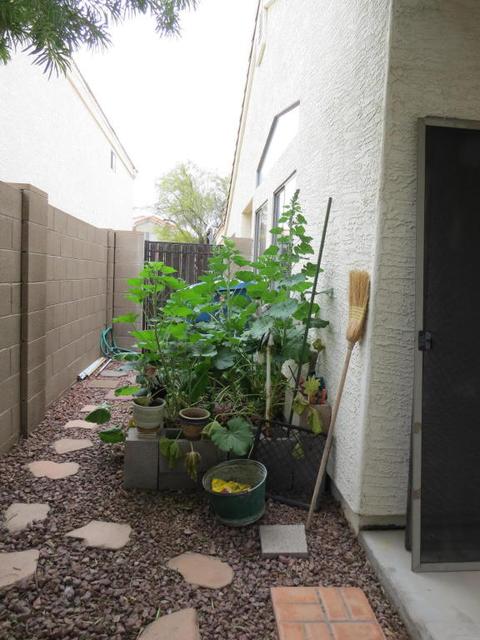 250 W Juniper Ave #86, Gilbert, AZ 85233 photo 13
