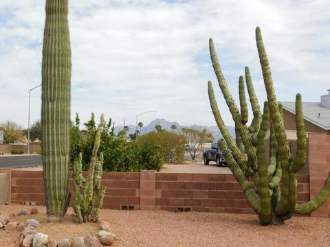 10647 E Broadway Rd, Mesa, AZ 85208 photo 22
