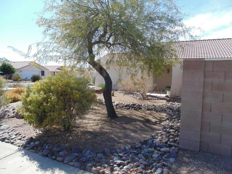 1024 W 7th Ave, Apache Junction, AZ 85120 photo 4