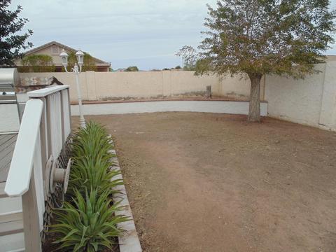 1024 W 7th Ave, Apache Junction, AZ 85120 photo 16