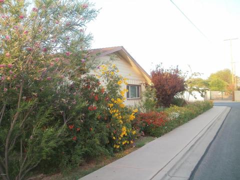 1145 E 3rd St, Mesa, AZ 85203 photo 4