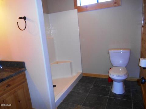 2300 Overgaard Springs Loop, Overgaard, AZ 85933 photo 33