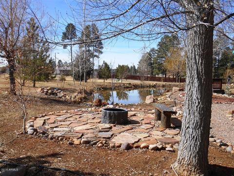 2300 Overgaard Springs Loop, Overgaard, AZ 85933 photo 38
