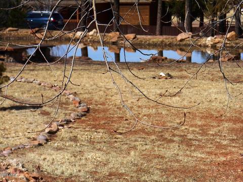 2300 Overgaard Springs Loop, Overgaard, AZ 85933 photo 41