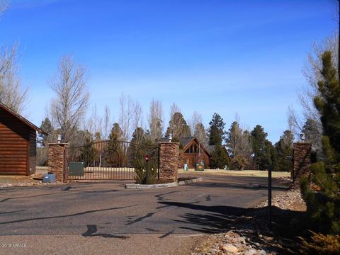 2300 Overgaard Springs Loop, Overgaard, AZ 85933 photo 10