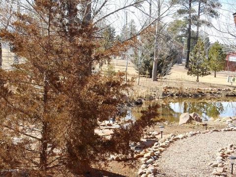 2300 Overgaard Springs Loop, Overgaard, AZ 85933 photo 22