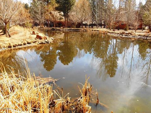 2300 Overgaard Springs Loop, Overgaard, AZ 85933 photo 46