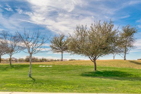 2973 E Palmdale Ln, Gilbert, AZ 85298 photo 44