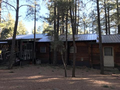 2173 Lone Star Dr, Overgaard, AZ 85933 photo 5