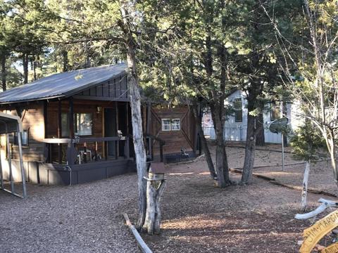 2173 Lone Star Dr, Overgaard, AZ 85933 photo 3