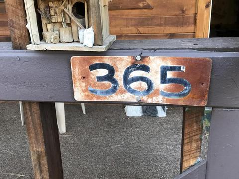 2173 Lone Star Dr, Overgaard, AZ 85933 photo 13