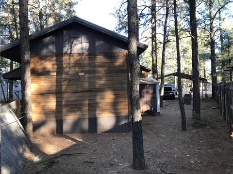 2173 Lone Star Dr, Overgaard, AZ 85933 photo 6