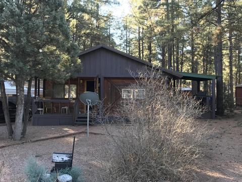 2173 Lone Star Dr, Overgaard, AZ 85933 photo 2