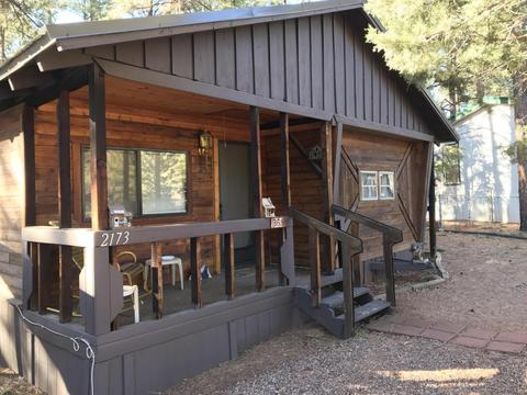 2173 Lone Star Dr, Overgaard, AZ 85933 photo 1