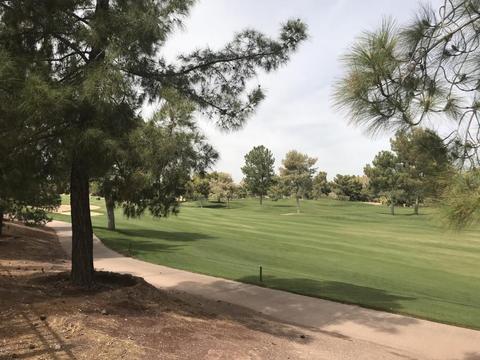 3919 E Carson Rd, Phoenix, AZ 85042 photo 47