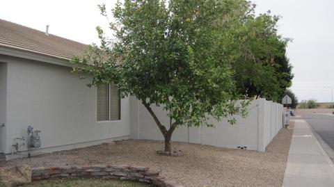 5625 E Harmony Ave, Mesa, AZ 85206 photo 53