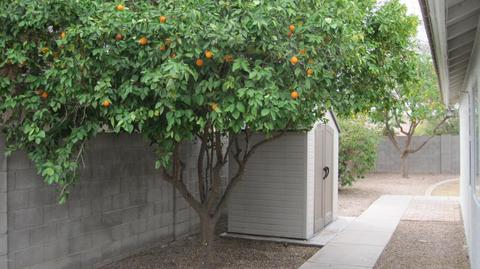 5625 E Harmony Ave, Mesa, AZ 85206 photo 44