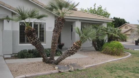 5625 E Harmony Ave, Mesa, AZ 85206 photo 52