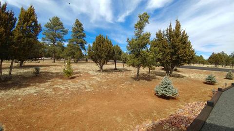 2756 Challenger Dr, Overgaard, AZ 85933 photo 53