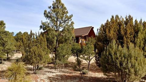 2756 Challenger Dr, Overgaard, AZ 85933 photo 2