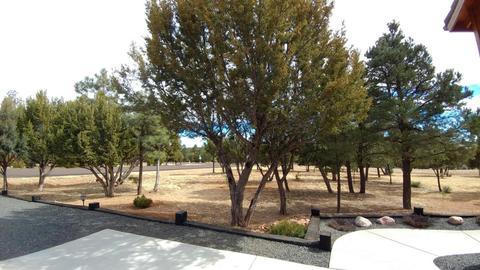 2756 Challenger Dr, Overgaard, AZ 85933 photo 54
