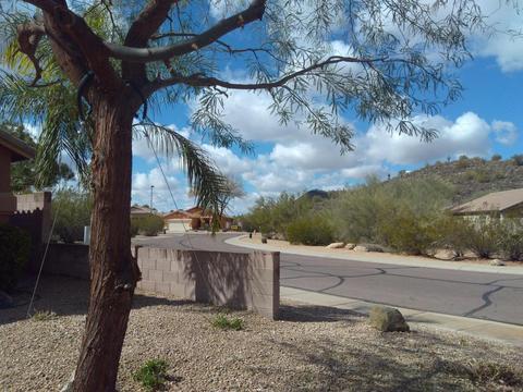 2523 E Parkside Ln, Phoenix, AZ 85024 photo 3