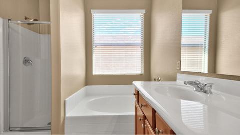 3843 E Morelos St, Gilbert, AZ 85295 photo 23