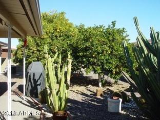 557 S Reseda St, Mesa, AZ 85206 photo 4