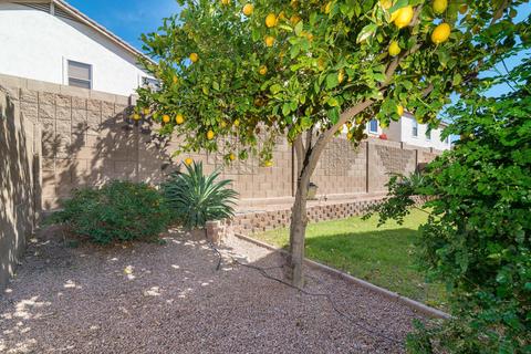 2298 E 36th Ave, Apache Junction, AZ 85119 photo 7