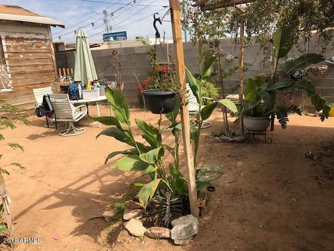 2922 E Brill St, Phoenix, AZ 85008 photo 14