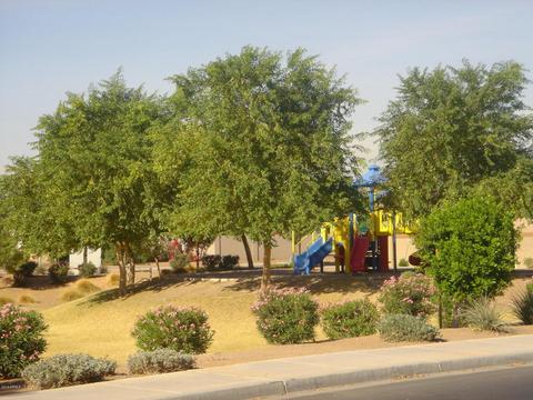 1022 E Bowker St, Phoenix, AZ 85040 photo 28