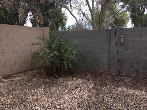 1835 E Inverness Ave, Mesa, AZ 85204 photo 18