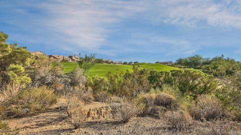 8038 E Teton Cir, Mesa, AZ 85207 photo 53