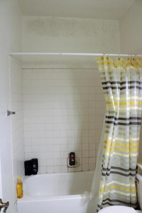 857 E Park Ave, Gilbert, AZ 85234 photo 7
