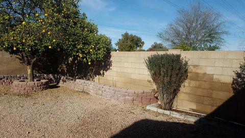 5060 E Colby St, Mesa, AZ 85205 photo 20