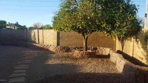 5060 E Colby St, Mesa, AZ 85205 photo 18