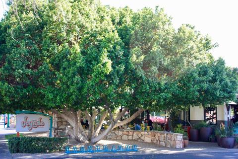 111 W Oregon Ave, Phoenix, AZ 85013 photo 48