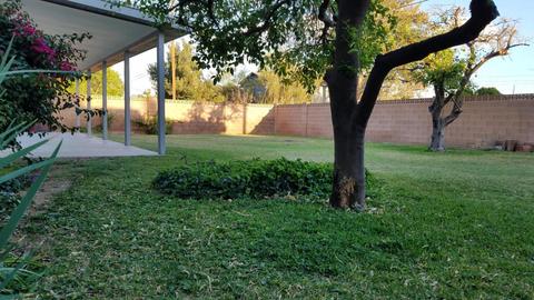 1701 W Eva St, Phoenix, AZ 85021 photo 28