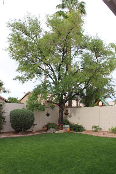 3662 E San Remo Ave, Gilbert, AZ 85234 photo 58